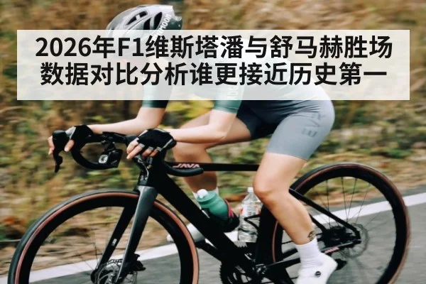 2026年F1维斯塔潘与舒马赫胜场数据对比分析谁更接近历史第一